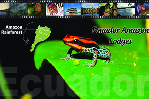 yachana banner