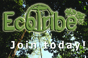 yachana ecotribe banner
