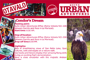 urban adventure flyer